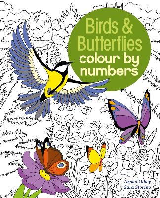 Birds & Butterflies Colour by Numbers book