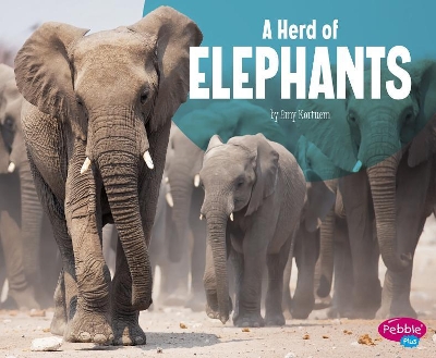 A Herd of Elephants by Amy Kortuem
