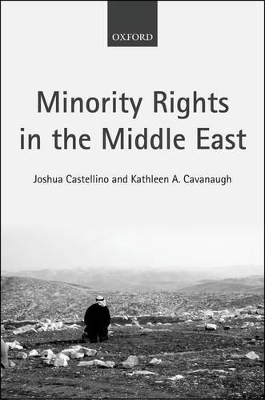 Minority Rights in the Middle East book