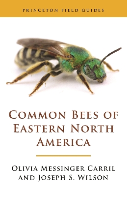 Common Bees of Eastern North America book