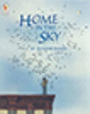 Home in the Sky book