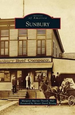 Sunbury book