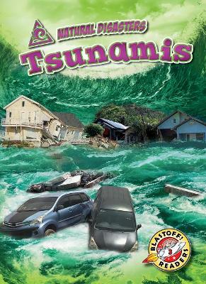 Tsunamis by Betsy Rathburn