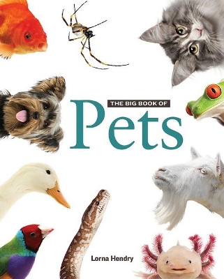 Big Book of Pets book