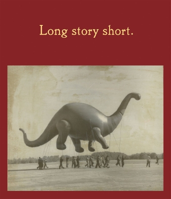 Long Story Short book