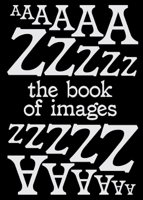 Book of Images: An illustrated dictionary of visual experiences book