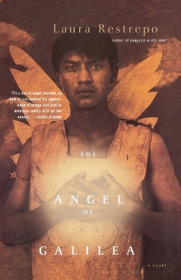 Angel of Galilea book