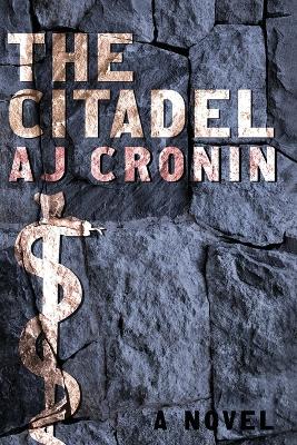 The Citadel book