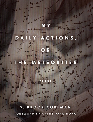 My Daily Actions, or The Meteorites book