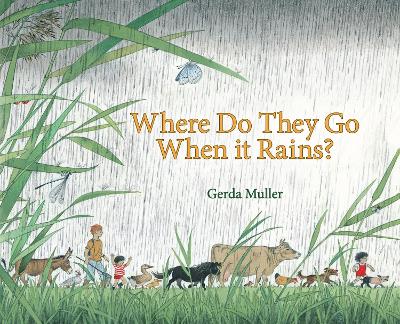 Where Do They Go When it Rains? book
