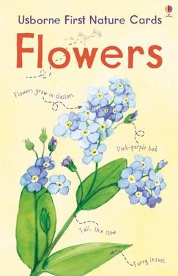 Flowers Usborne Nature Cards book