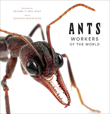 Ants: Workers of the World book