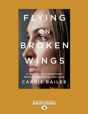 Flying on Broken Wings book