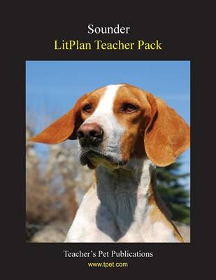 Litplan Teacher Pack by Mary B Collins