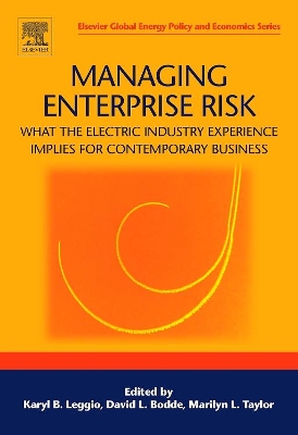 Managing Enterprise Risk: What the Electric Industry Experience Implies for Contemporary Business book