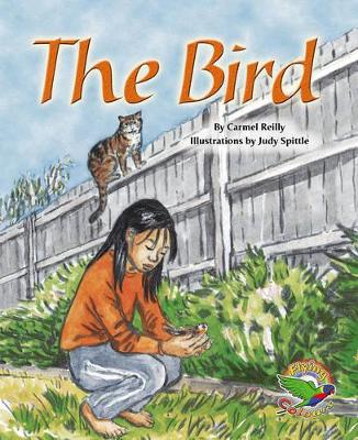 The Bird book