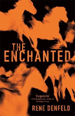 The Enchanted by Rene Denfeld