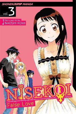 Nisekoi: False Love, Vol. 3 book