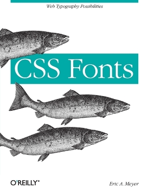 CSS Fonts book