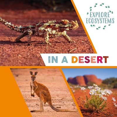 Explore Ecosystems: In a Desert book