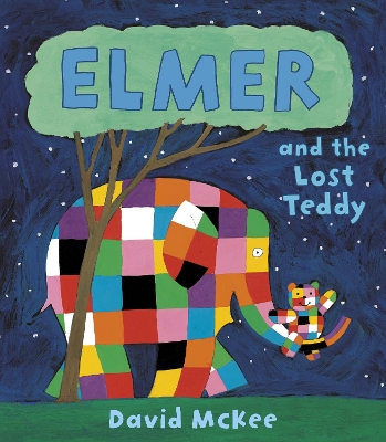 Elmer and the Lost Teddy book