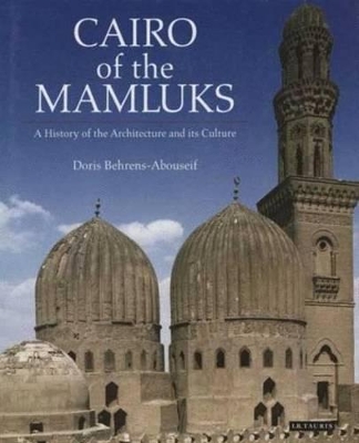 Cairo of the Mamluks book