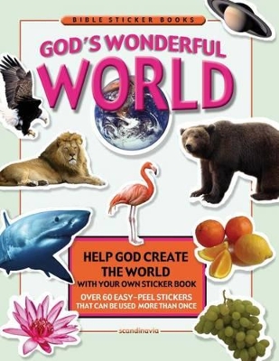 God's Wonderful World book