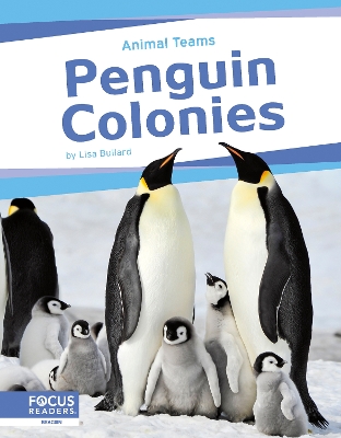 Penguin Colonies by Lisa Bullard