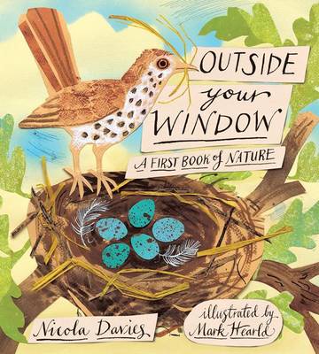 A Outside Your Window by Nicola Davies