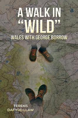 A Walk in Wild Wales with George Borrow book