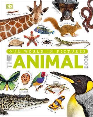 Animal Book book