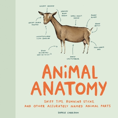 Animal Anatomy book