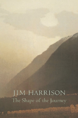 Shape of the Journey book