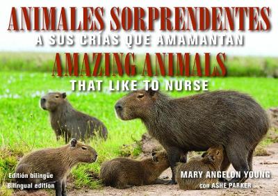 Animales Sorprendentes / Amazing Animals - English & Spanish Bilingual Edition: Que Amamantan a Sus Crias / That Like to Nurse book