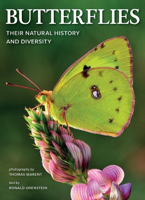 Butterflies: Their Natural History and Diversity book