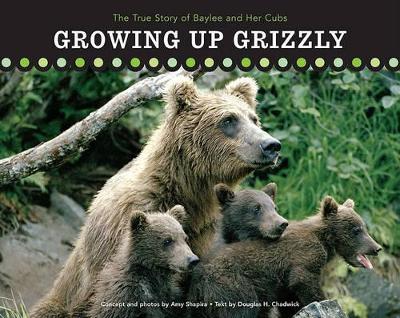 Growing Up Grizzly by Amy Shapira