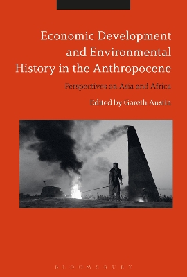 Economic Development and Environmental History in the Anthropocene book