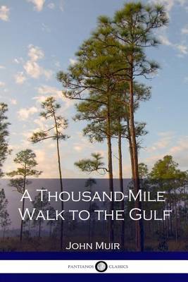 Thousand-Mile Walk to the Gulf book