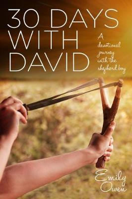 30 Days with David book