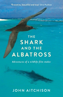 The Shark and the Albatross by John Aitchison