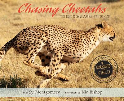 Chasing Cheetahs: The Race to Save Africa's Fastest Cats by Sy Montgomery