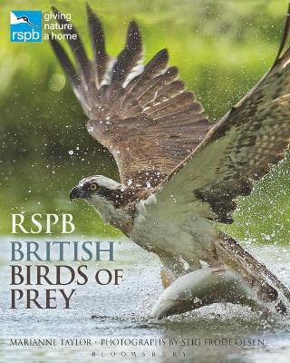 RSPB British Birds of Prey by Marianne Taylor