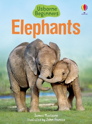 Usborne Beginners: Elephants book