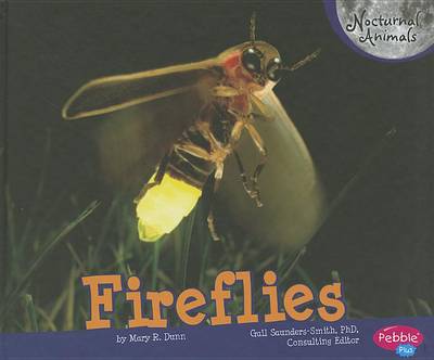 Fireflies by Mary R Dunn