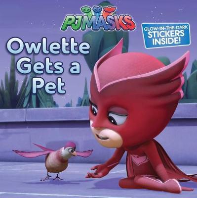 Owlette Gets a Pet book