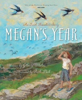 Megan's Year: An Irish Traveler's Story book