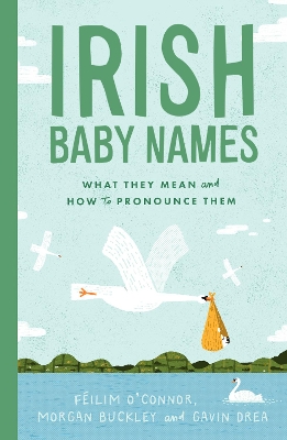 Irish Baby Names: What they mean and how to pronounce them book