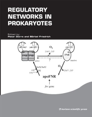 Regulatory Networks in Prokaryotes book