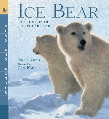 Ice Bear book