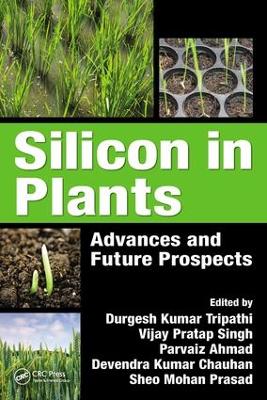 Silicon in Plants by Durgesh Kumar Tripathi